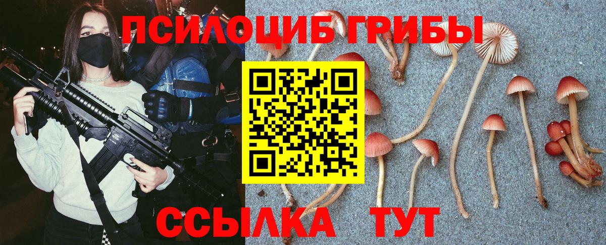 дарнет шоп  Вход с VPN  Пенза  Галлюциногенные грибы мицелий  Галлюциногенные грибы ЛСД 