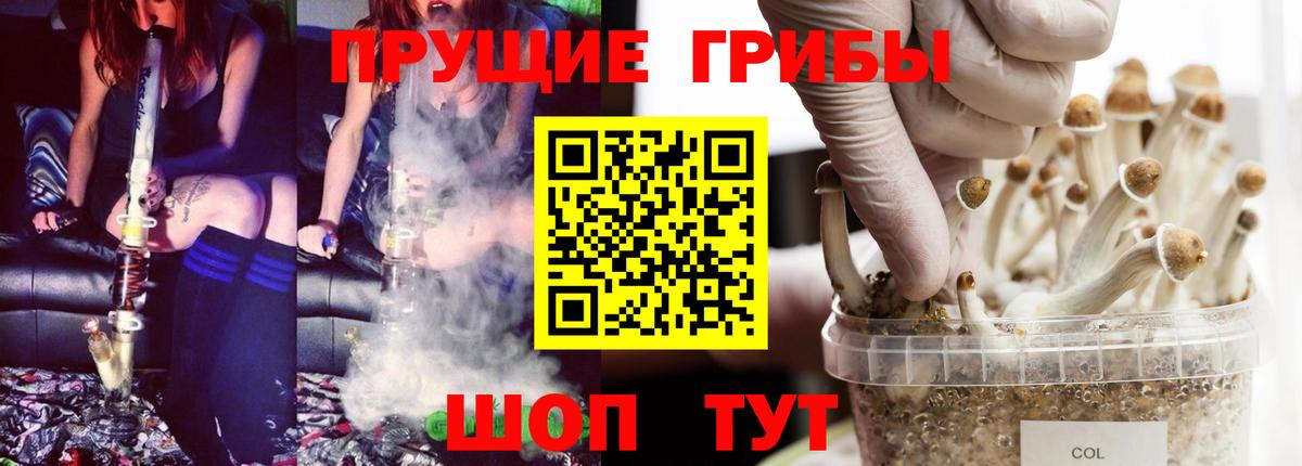 Псилоцибиновые грибы Magic Shrooms Пенза